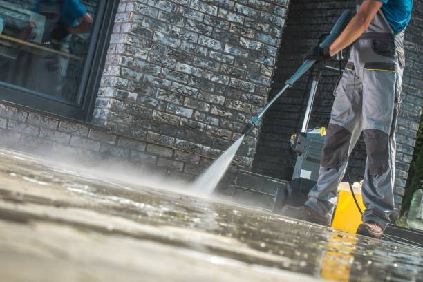 Best Gutter Cleaning  in La Joya, TX