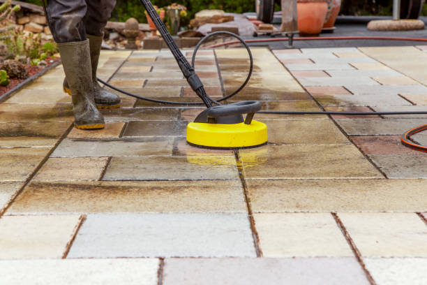 Best Solar Panel Cleaning  in La Joya, TX