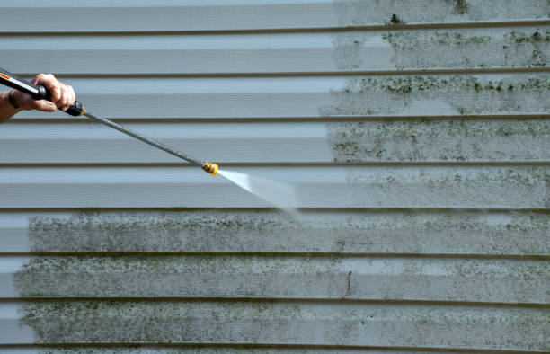 Best Sidewalk and Walkway Cleaning  in La Joya, TX