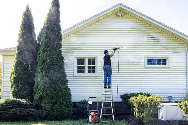 Best Spring Cleaning  in La Joya, TX