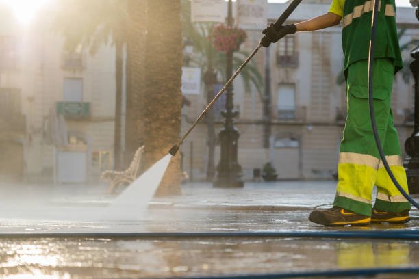 Best Dumpster Area Cleaning  in La Joya, TX
